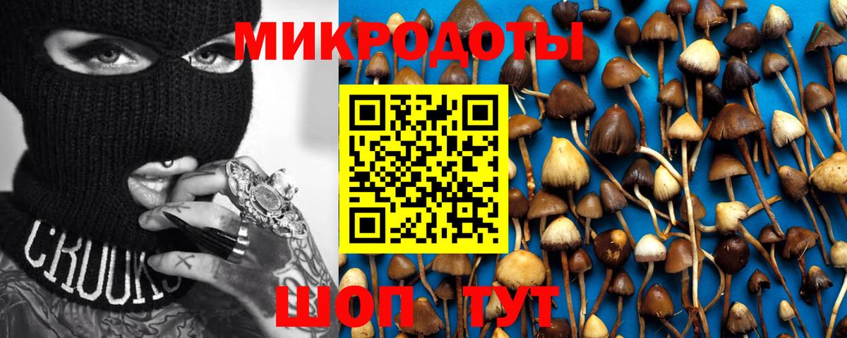 Псилоцибиновые грибы прущие грибы Владимир