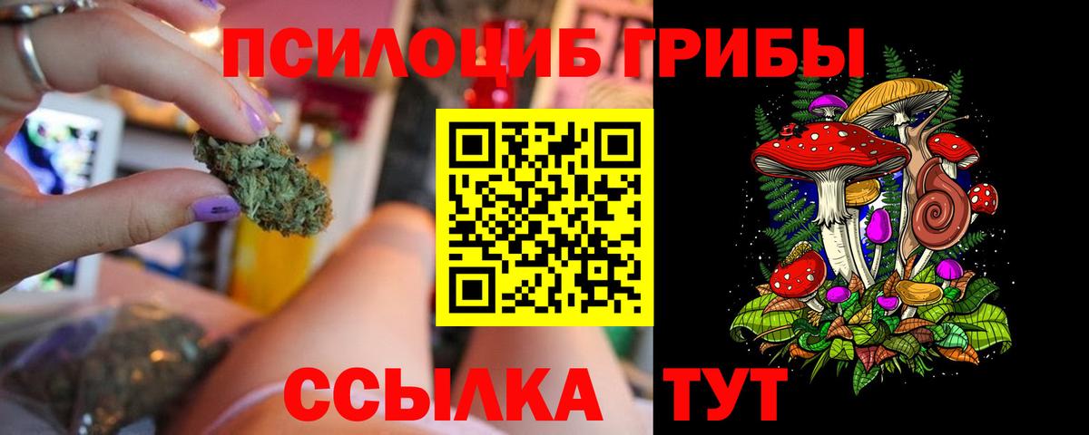 Владимир  Псилоцибиновые грибы ЛСД  Вход с VPN 